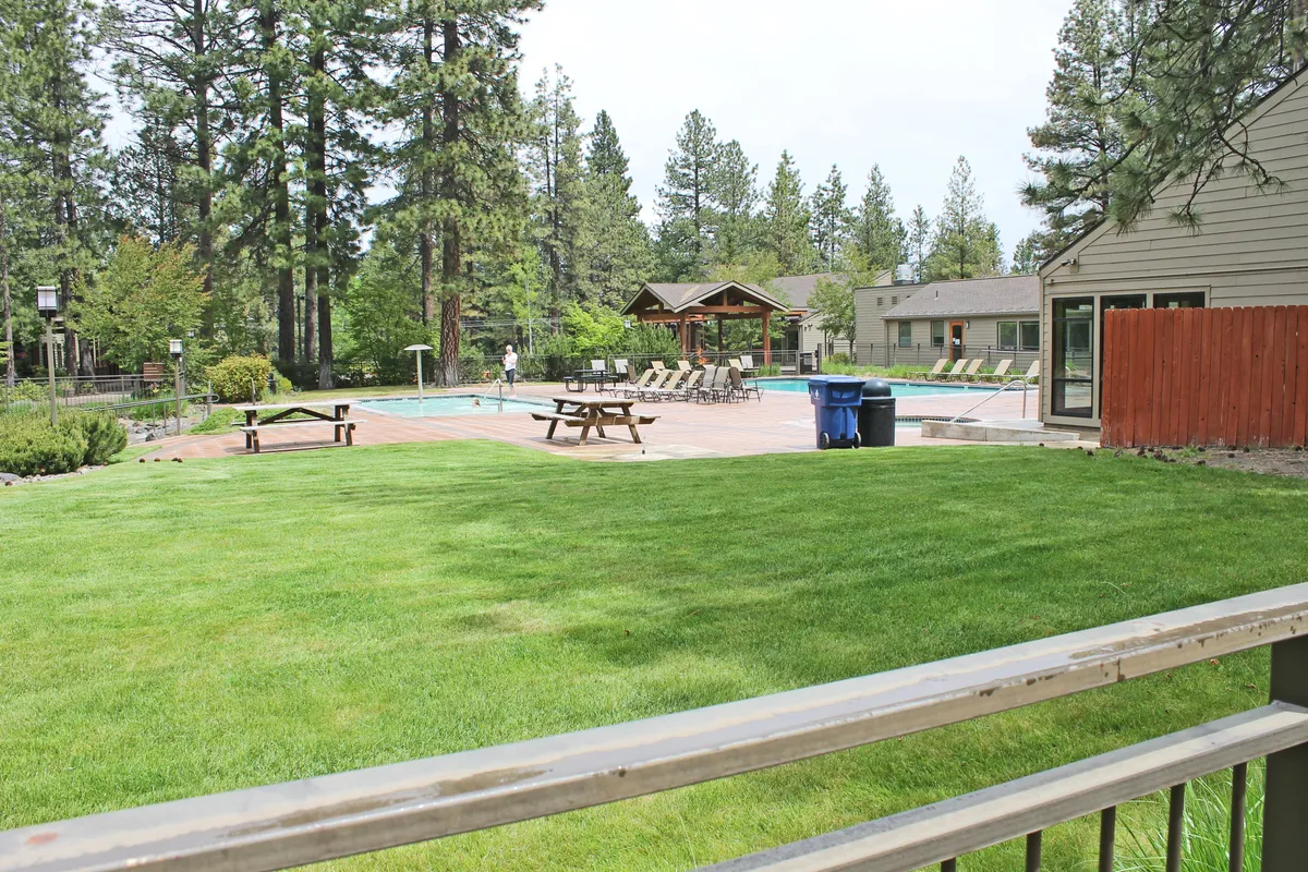 The image features a sparkling swimming pool, picnic tables, a lush lawn, and surrounding trees, all inviting guests to swim, sunbathe, or enjoy a group picnic. The communal atmosphere is bright and cheerful, encouraging group gatherings and family fun in the sun.
