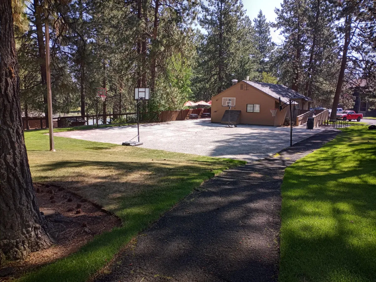 The scene centers on a basketball court set amid a wooded area, with a house and large trees in the background. The atmosphere is playful and relaxed, ideal for family gatherings and outdoor games.