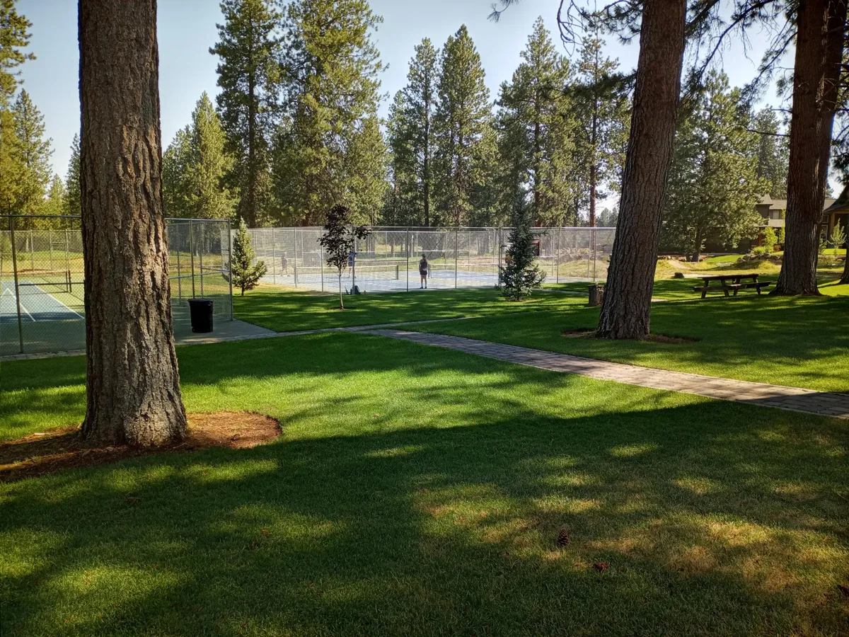 A beautifully maintained tennis court is surrounded by a lush, green lawn and tall trees, with a pathway and seating area nearby for relaxation. The inviting scene depicts guests playing tennis, picnicking, or simply enjoying the tranquil natural environment.