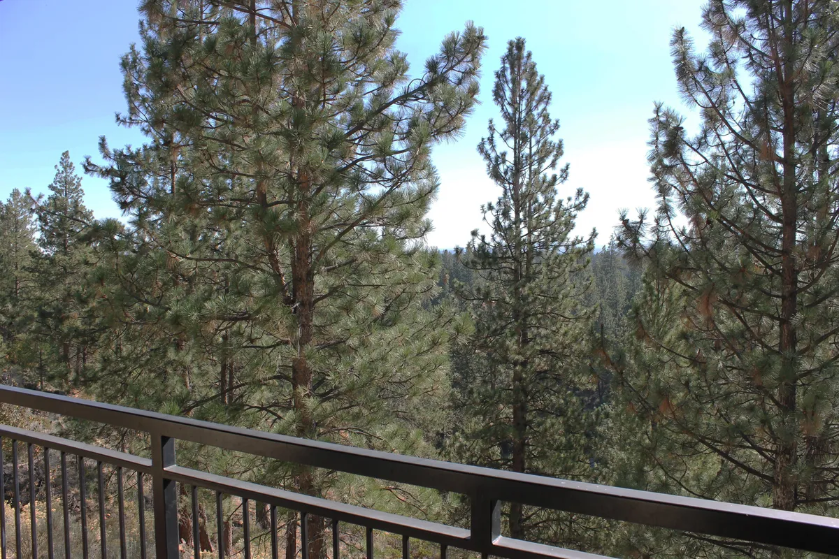 A tranquil exterior view featuring a balcony railing surrounded by tall pine trees and a distant mountain vista. The scene suggests a peaceful spot ideal for relaxing, bird watching, or enjoying nature with your pet after a day out on the trails.